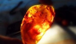 琥珀在线观看,穿越时空的视觉盛宴