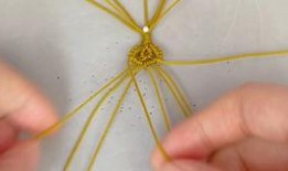 爆料钩怎么用视频教程,如何利用视频教程轻松制作概述文章副标题的实用指南